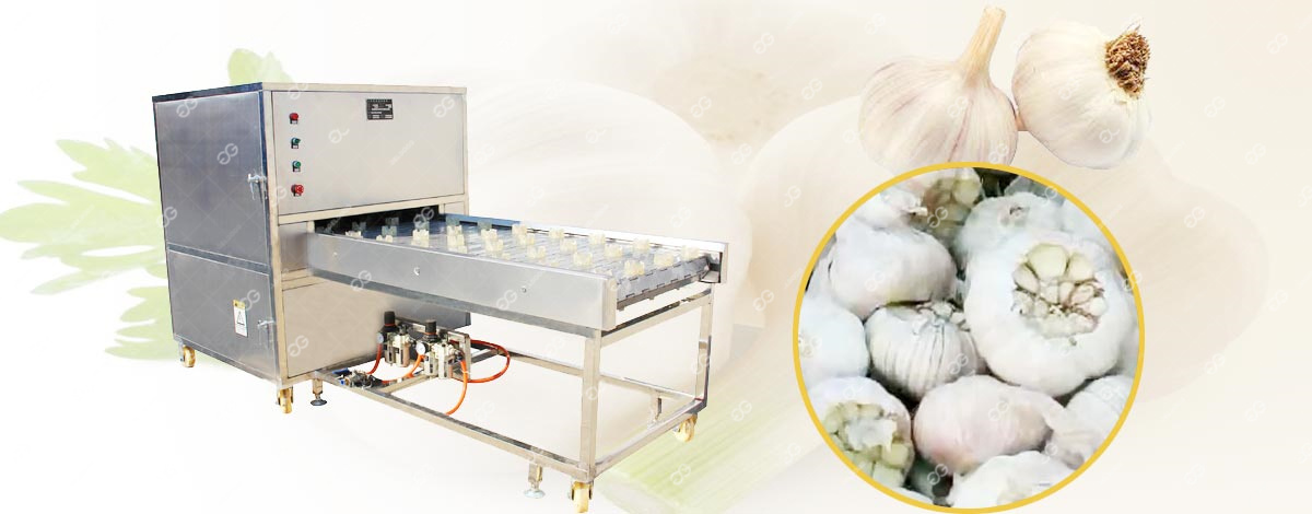 garlic root cutting machine