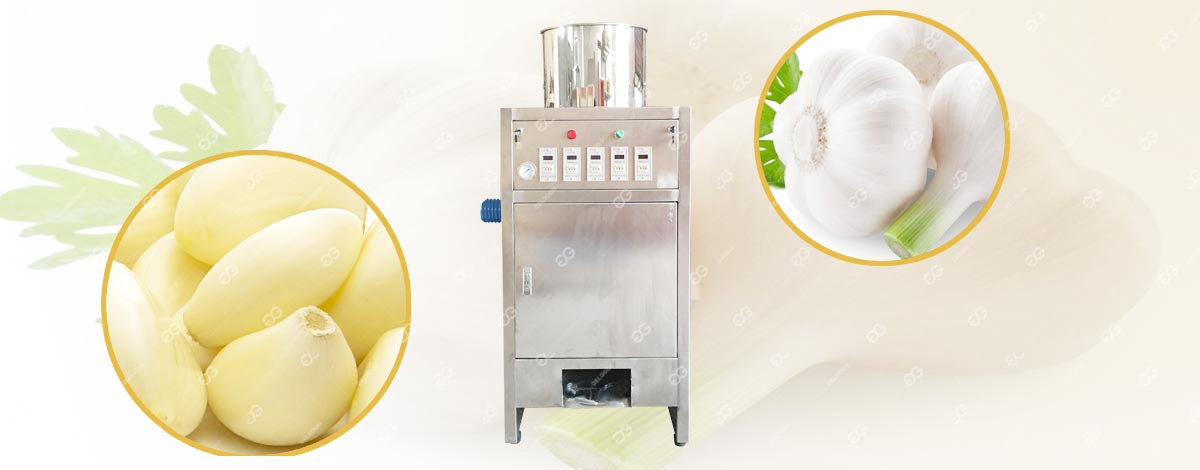 garlic peeling machine manufacture