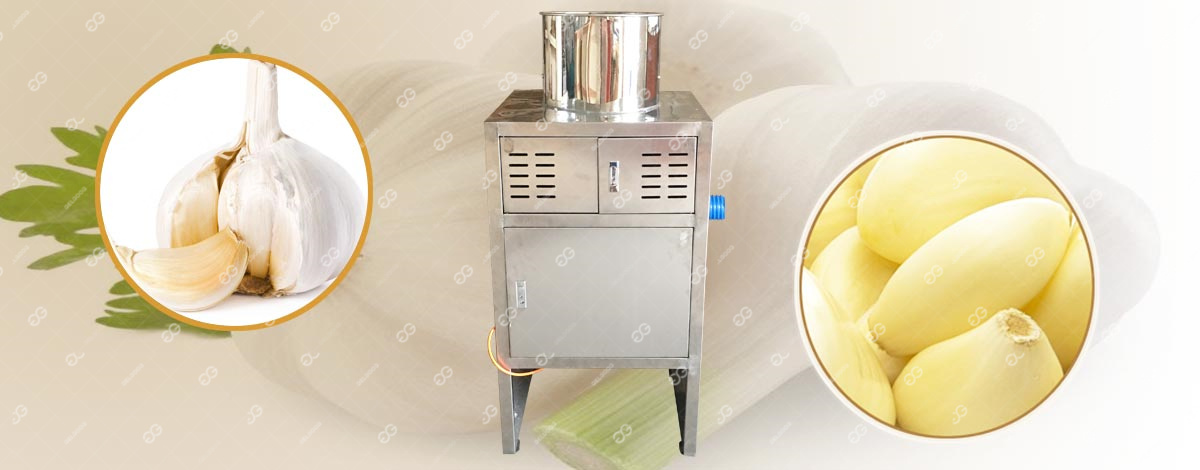 garlic peeling machine cost