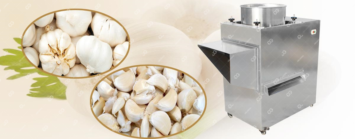 garlic bulb breaker machine cost