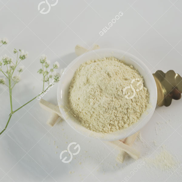 making garlic powder.jpg