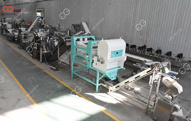 Argentina-Garlic-Processing-line.jpg