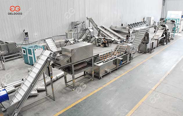 Argentina-Garlic-Processing-Project.jpg